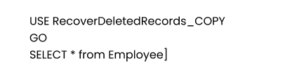 How Can You Retrieve Deleted Records in SQL Server Database? Step 7